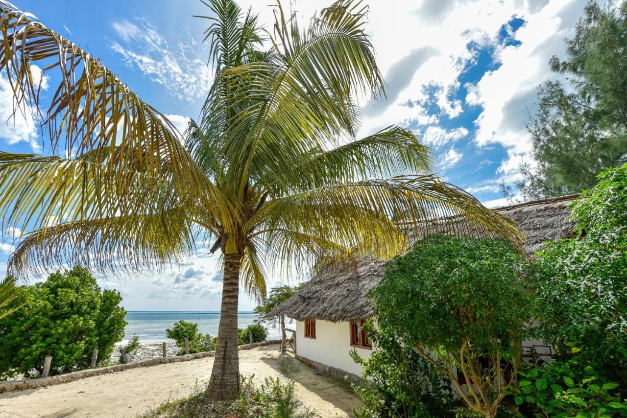 Afya Village At The Sea Michamvi Exteriér fotografie