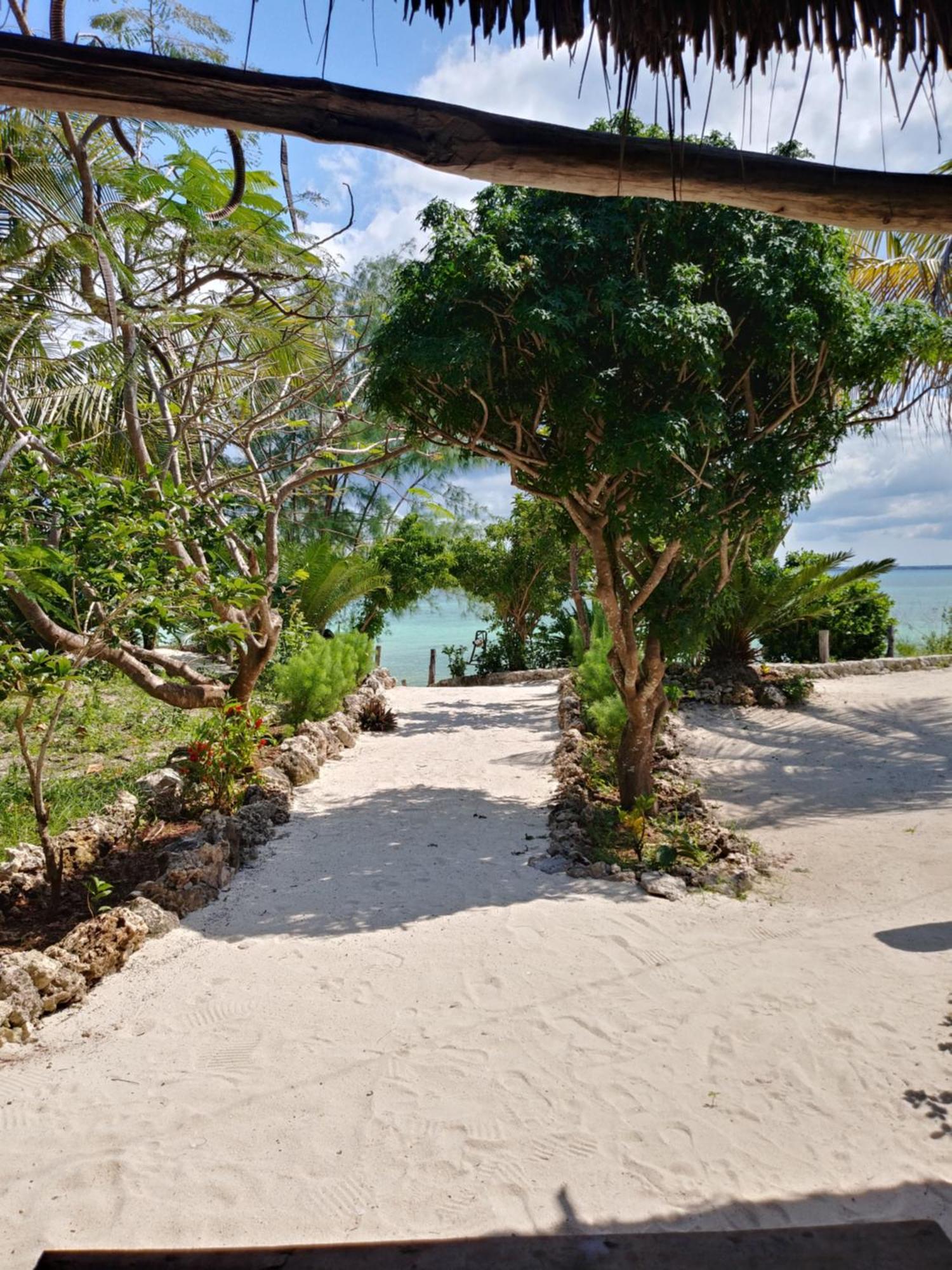Afya Village At The Sea Michamvi Pokoj fotografie